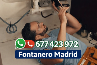 Fontanero 677423972