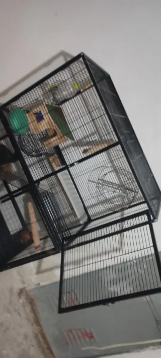 Jaula Para Conejos,Cobayas,Hurones,Aves