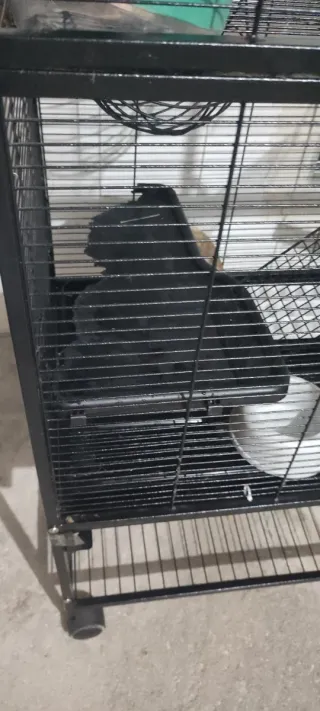 Jaula Para Conejos,Cobayas,Hurones,Aves