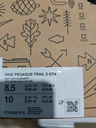 Nike Pegasus Trail 5 Goretex Gris