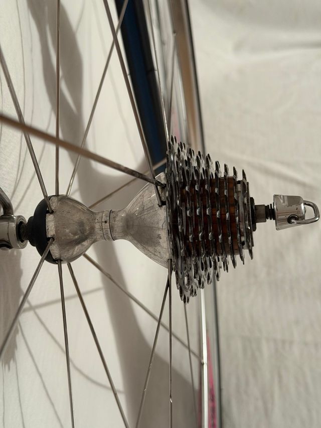 Rodas Campagnolo Shamal Titanium 700c Michelin 9v
