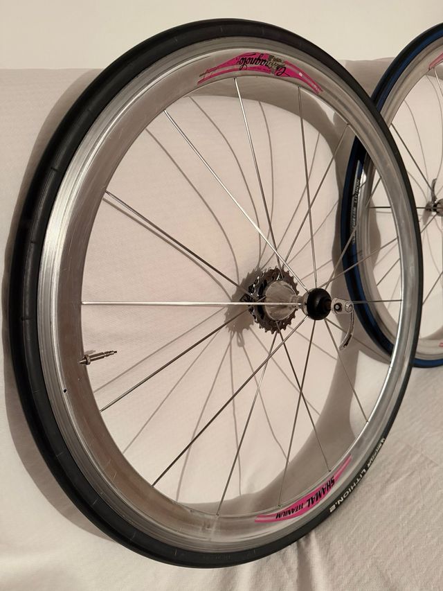 Rodas Campagnolo Shamal Titanium 700c Michelin 9v