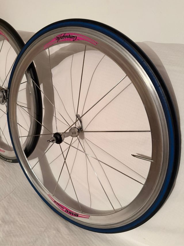 Rodas Campagnolo Shamal Titanium 700c Michelin 9v