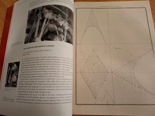 GAUDÍ. LA BÚSQUEDA DE LA FORMA