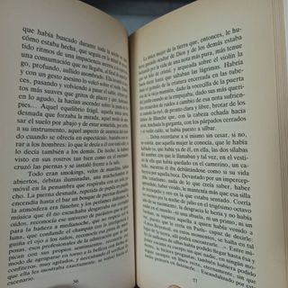 Mis noches son más hermosas que sus días