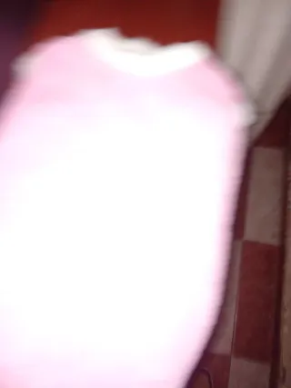 Vestido peluche rosa para perros pequeños  o gatos