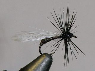 HORMIGAS PARA PESCA CON MOSCA