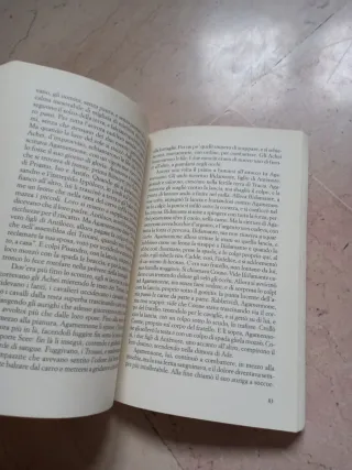 Omero, Iliade (Italian Edition)