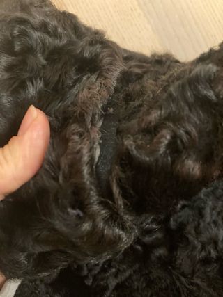 Abrigo pelo astracán negro vintage