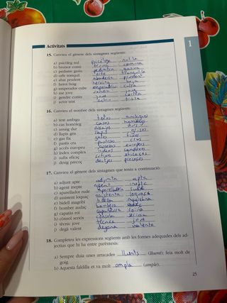 Curs de llengua Catalana NIVELL D