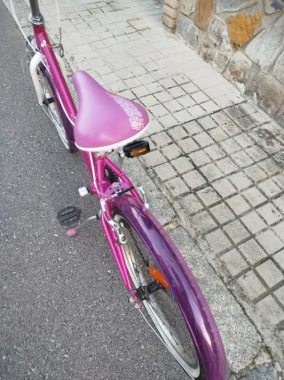 Bicicleta niña rosa 20 pulgadas