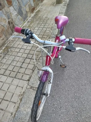 Bicicleta niña rosa 20 pulgadas