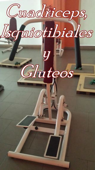 Circuito completo de gimnasio.