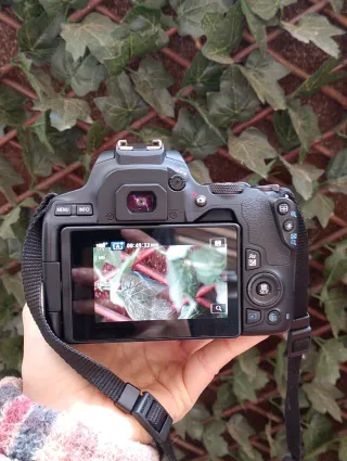 Cámara Canon EOS 250D + 2 Objetivos 50mm y 18-55mm