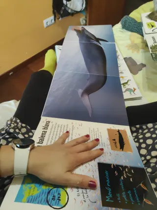 Libro animals gegants salvatges