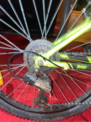 Bicicleta infantil verde