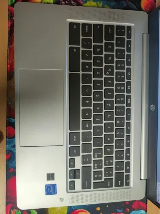 HP Chromebook 14a-na0030nl Argento Perfetto