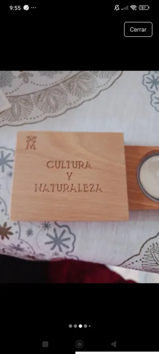 Moneda de plata 1995