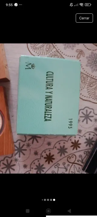 Moneda de plata 1995