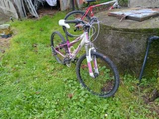 Bicicleta para piezas