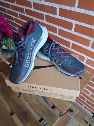 Nike Pegasus Trail 4 Gore-Tex V2 HM9728-300