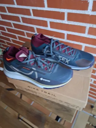 Nike Pegasus Trail 4 Gore-Tex V2 HM9728-300