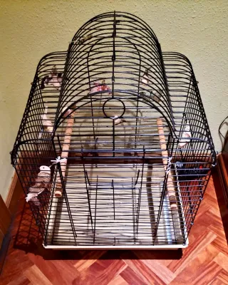 Jaula para pájaros negra y beige