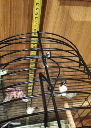 Jaula para pájaros negra y beige