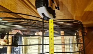 Jaula para pájaros negra y beige