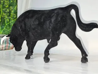 Figura Toro Lidia Aterciopelado Negro