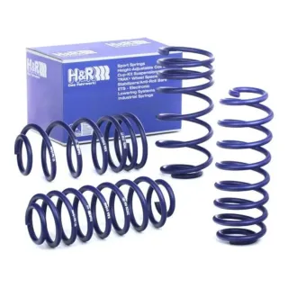 Muelles HyR Renault Megane 3