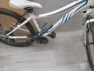 Bicicleta CRSSKING VANGUARD SDOG