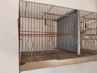 Jaula doble para pájaros