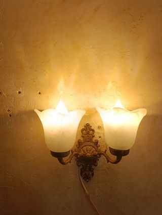 Applique Modernista a Doppio Braccio con Tulipani Marmorizzati