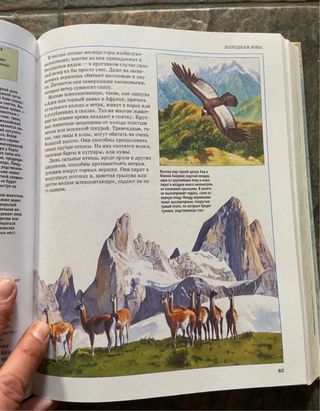 Иллюстрированная энциклопедия школьника