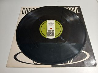 Vinilo LP Check Out the Groove 99.9%
