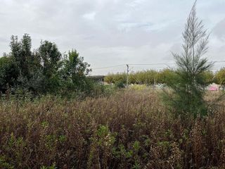 Nave industrial en venta en Ulldecona