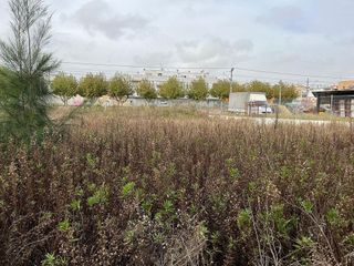 Nave industrial en venta en Ulldecona