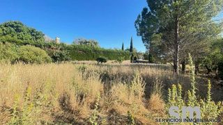 Terreno en venta en Ubrique