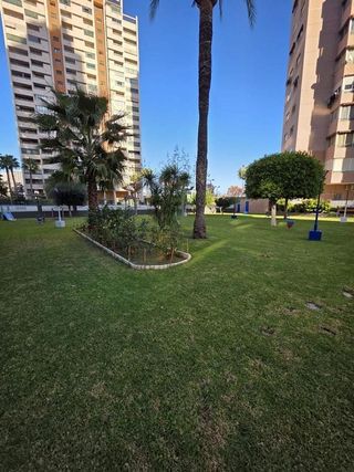 Piso en alquiler en Rincón de Loix en Benidorm