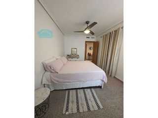 Piso en alquiler en Alcalde Felipe Mallol en San Vicente del Raspeig/Sant Vicent del Raspeig