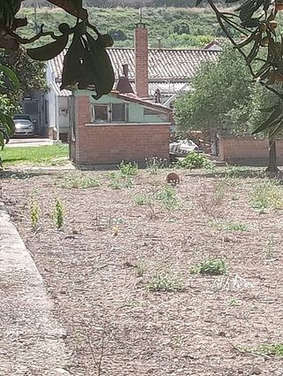 Chalet en venta en Oeste en Logroño