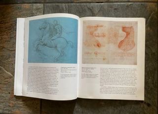 Leonardo (Spanish Edition)