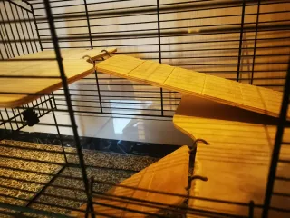 Jaulas para jerbos y roedores Neo de Zolux