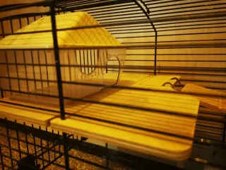 Jaulas para jerbos y roedores Neo de Zolux