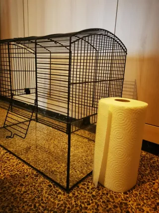 Jaulas para jerbos y roedores Neo de Zolux