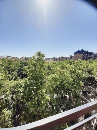 Piso en alquiler en Pº Zorrilla - Cuatro de Marzo en Valladolid