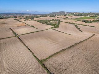 Terreno en venta en Manacor Centro en Manacor