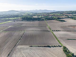 Terreno en venta en Manacor Centro en Manacor