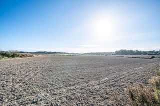 Terreno en venta en Manacor Centro en Manacor